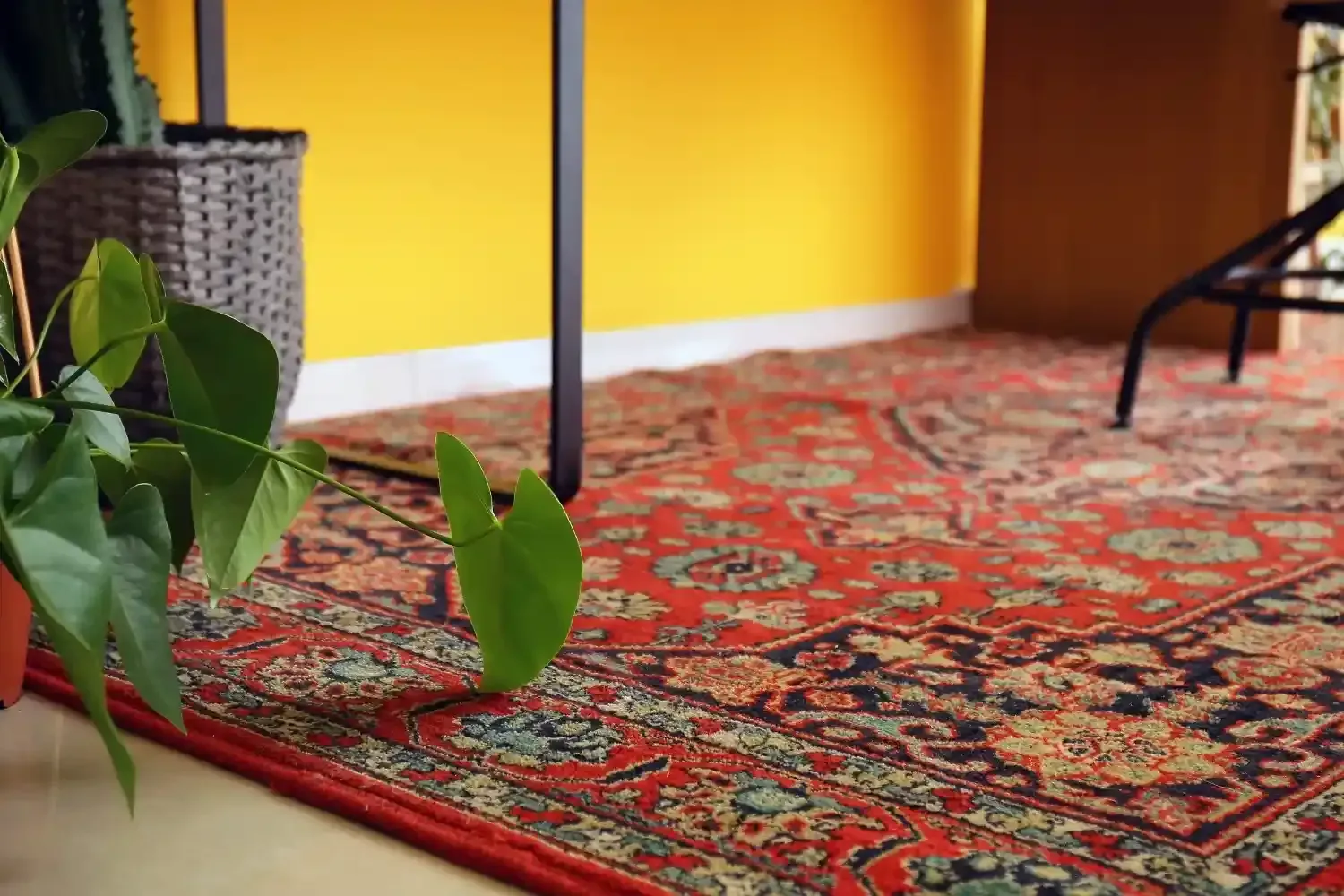 Un rincón de una habitación con una alfombra de estampado rojo vibrante, una gran planta de hojas verdes.