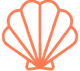 Orange seashell outline.