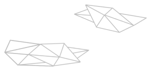 Two white geometric wireframe shapes on a white background