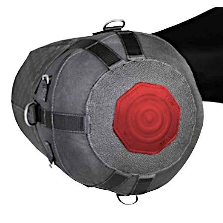 Gray spherical device with straps and a red circular center on a white background