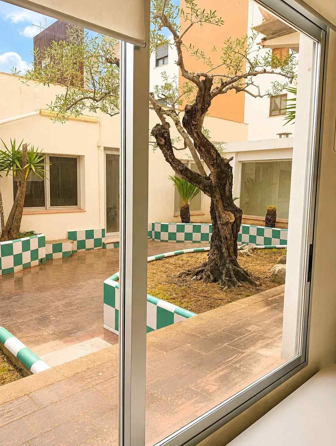 Patio con un árbol retorcido que se ve a través de una ventana, enmarcado por paredes de azulejos blancos y verdes.