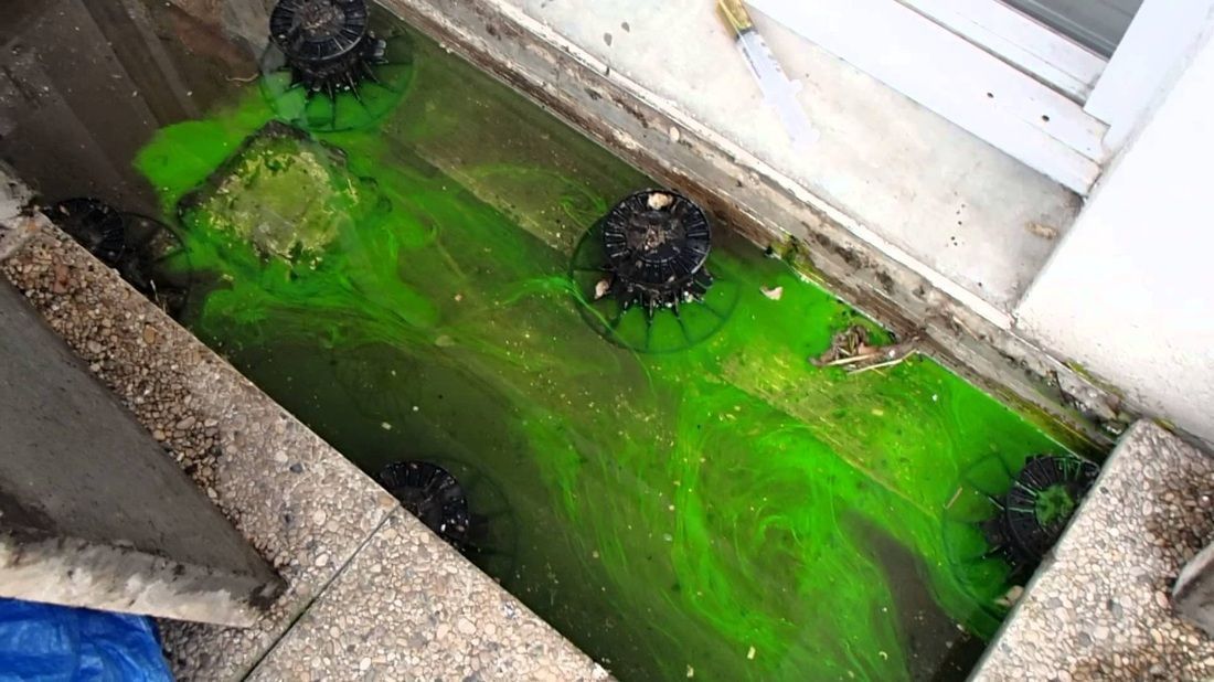 Test à la fluorescence - AMP Multiservices