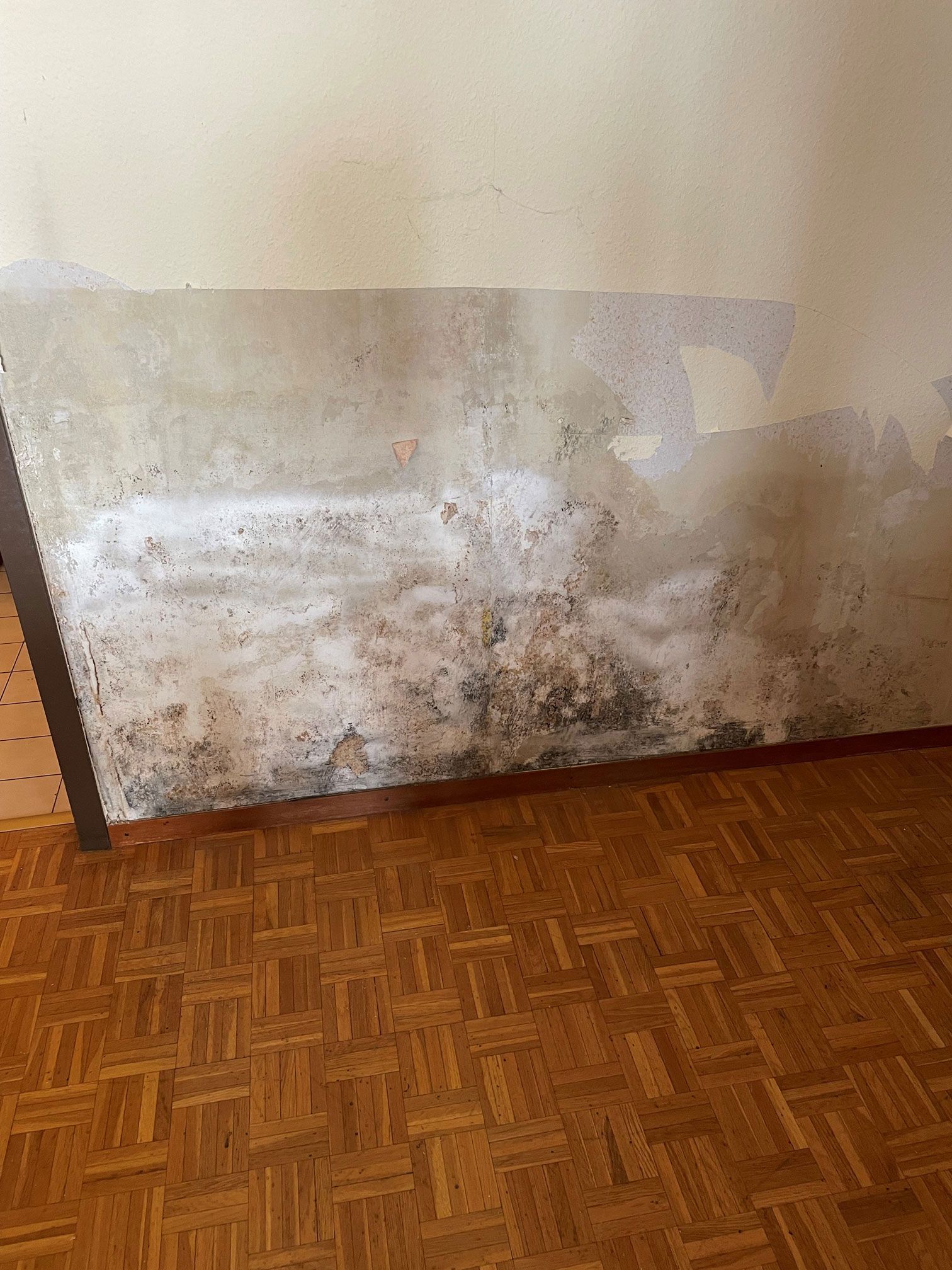 Détection et déshumidification en Valais - AMP Multiservices