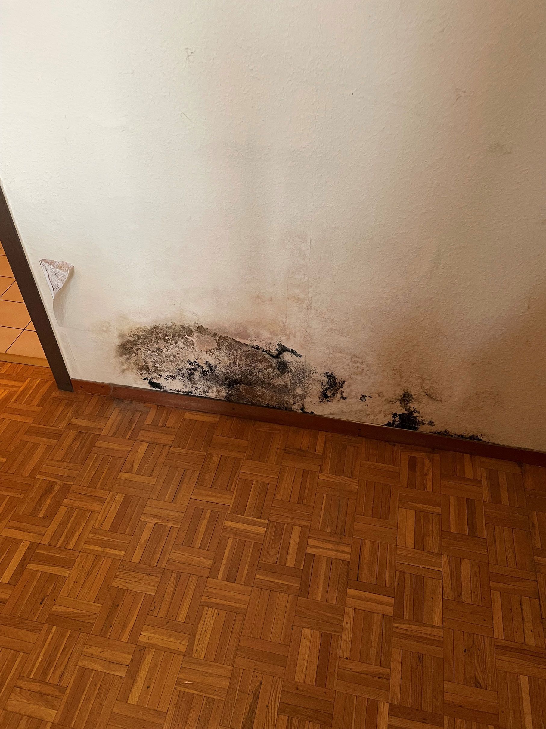 Détection et déshumidification en Valais - AMP Multiservices