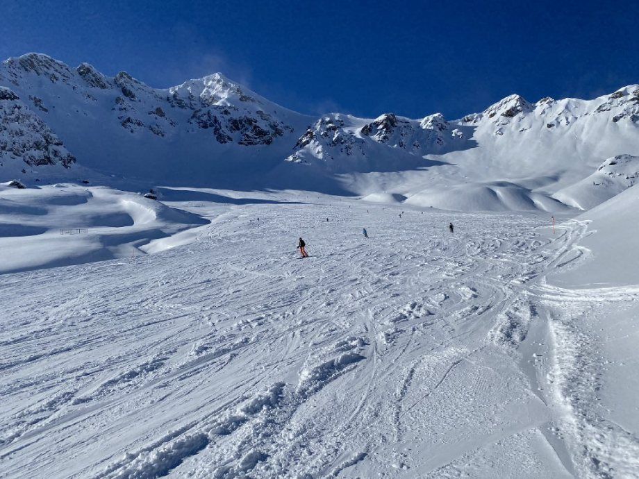 Sportverein Wiedikon