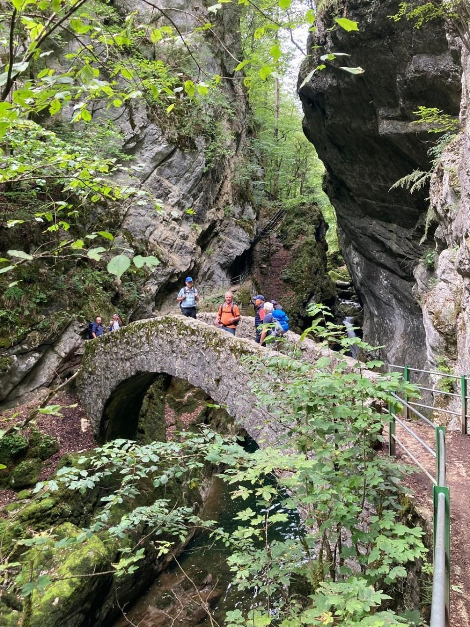 Sportverein Wiedikon