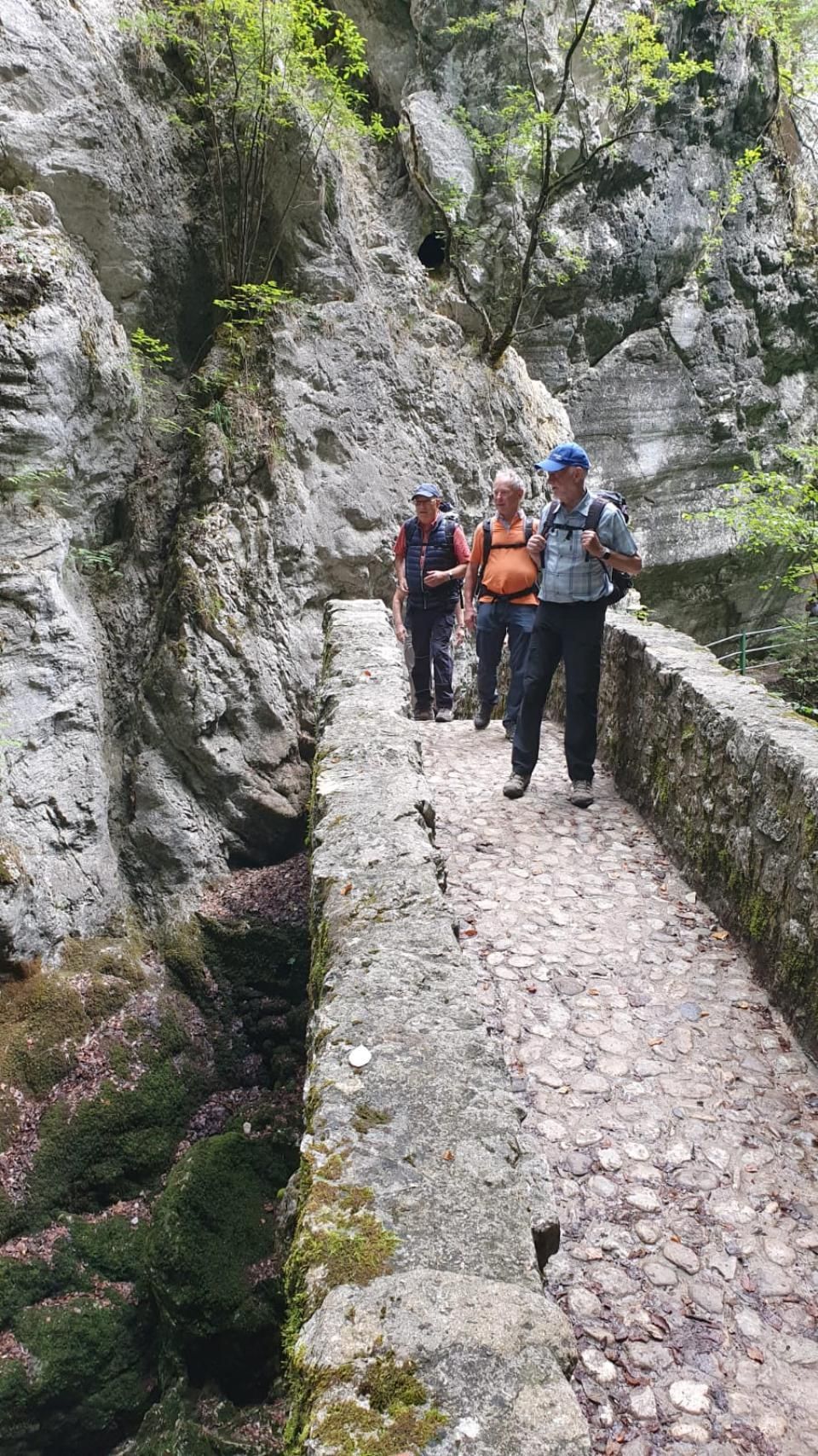 Sportverein Wiedikon