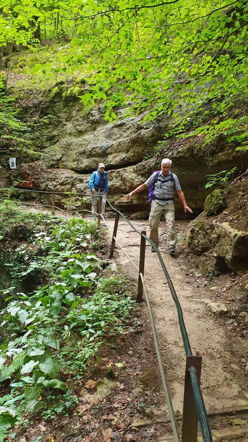 Sportverein Wiedikon