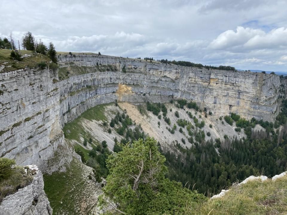 Sportverein Wiedikon