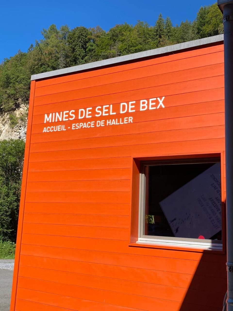 Sportverein Wiedikon