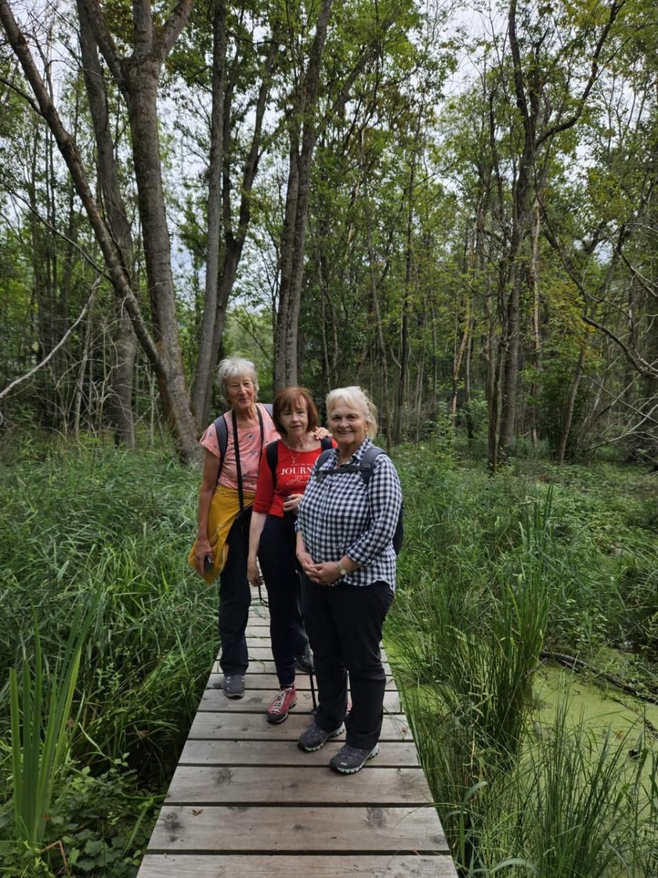 Sportverein Wiedikon