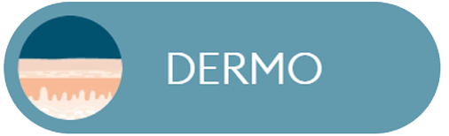 Icona con sezione trasversale della pelle. Il testo recita 