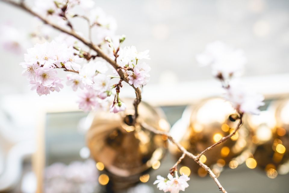 Blühender Kirschbaum