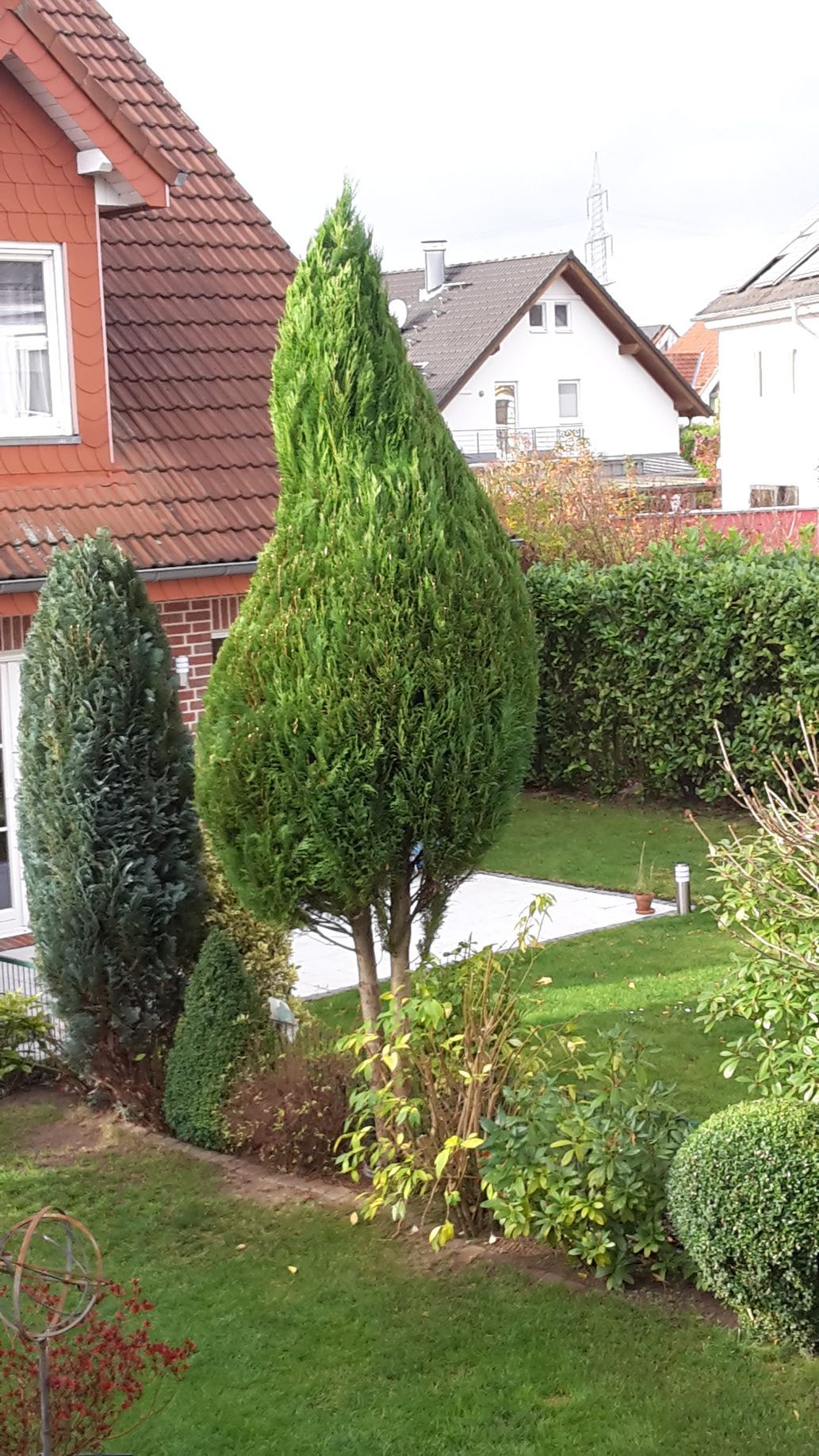 Volker Hahn Garten- und Landschaftsbau, Hecke und Bäume im Garten