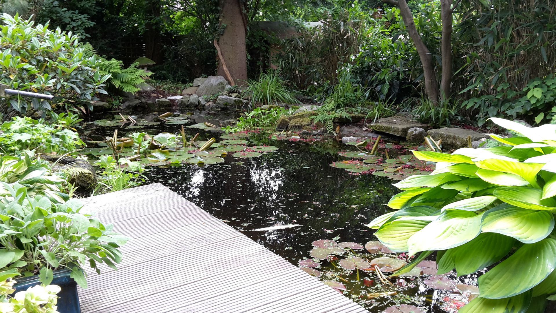 Volker Hahn Garten- und Landschaftsbau, Gartenteich
