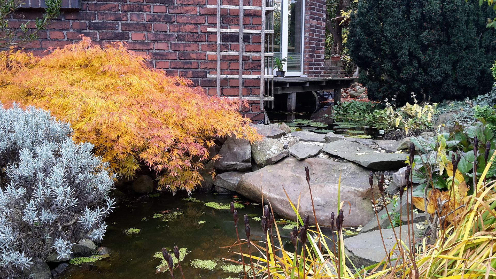 Volker Hahn Garten- und Landschaftsbau, Teichanlage vor Haus