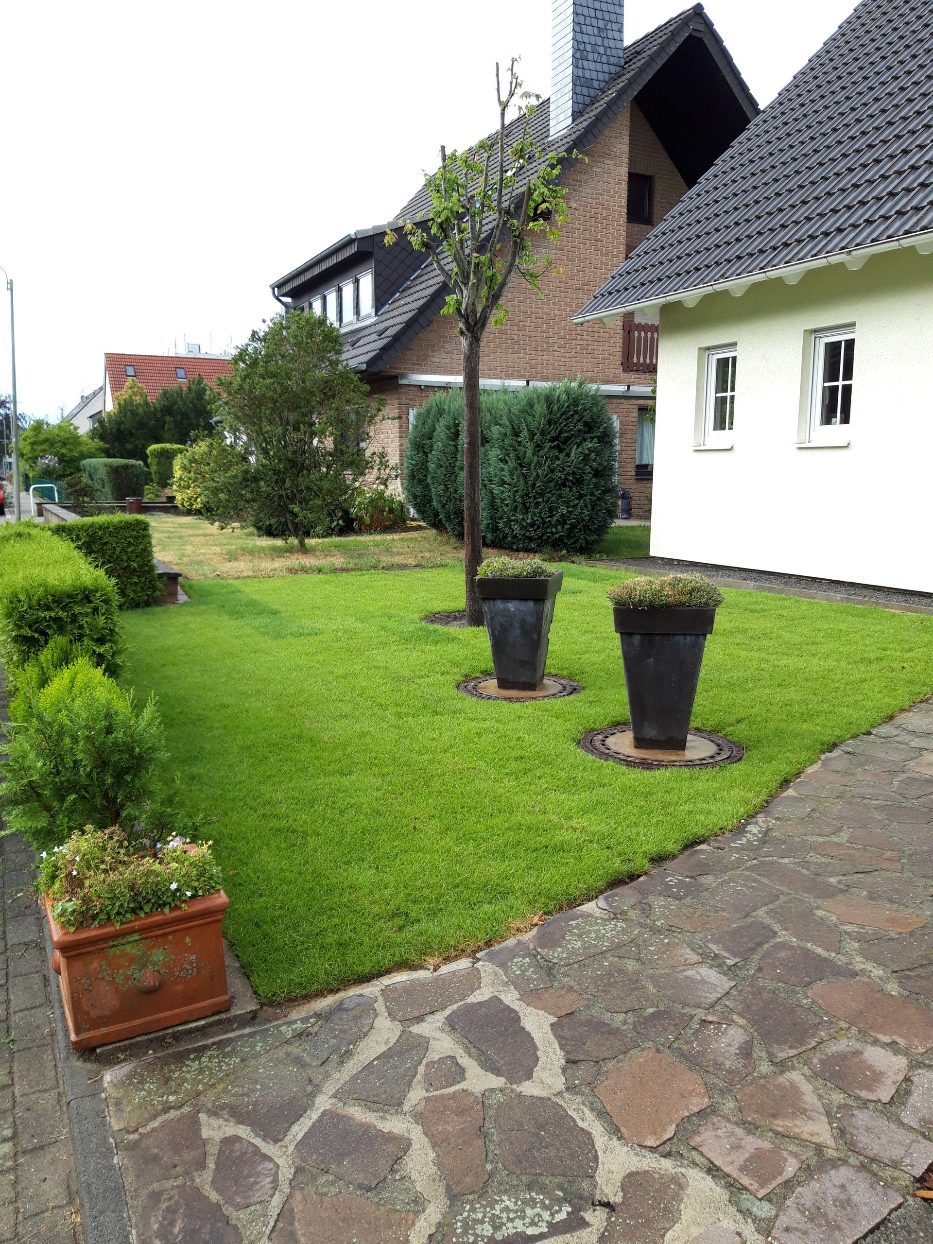 Volker Hahn Garten- und Landschaftsbau, gepflasterter Weg und Rasen vor weißem Gebäude