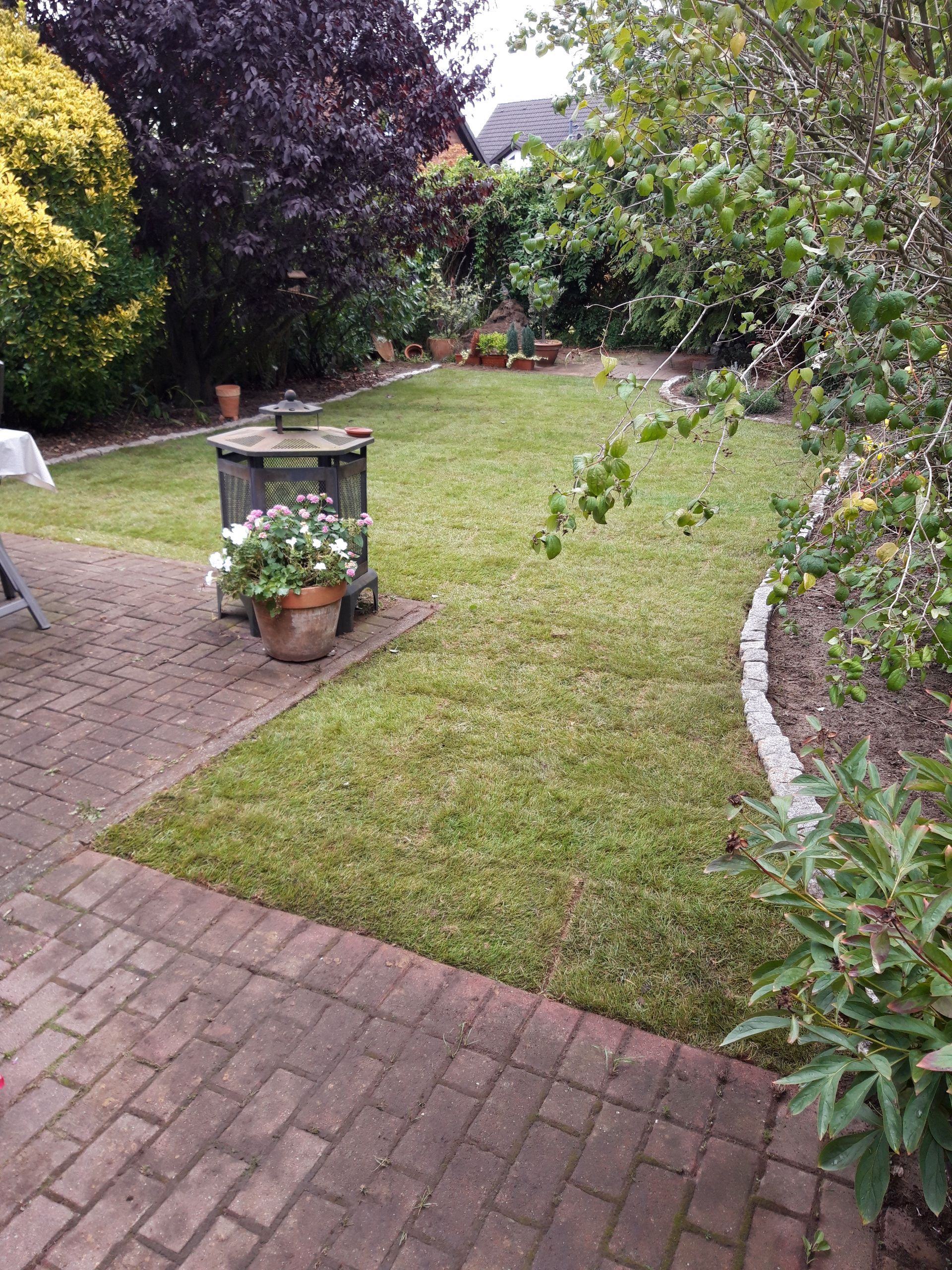 Volker Hahn Garten- und Landschaftsbau, Pflasterweg in Park