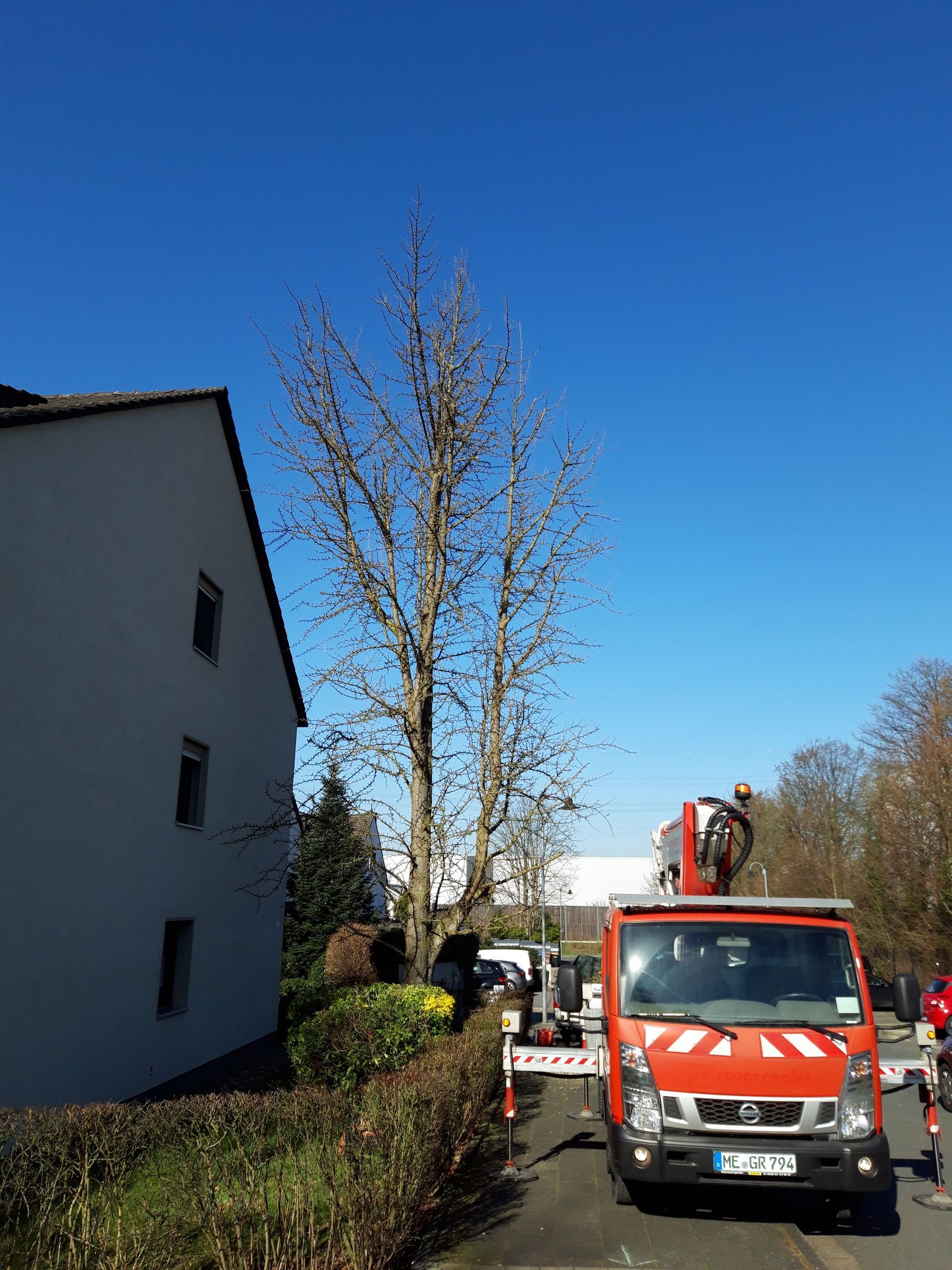 Volker Hahn Garten- und Landschaftsbau, Baumfällung, rotes Fahrzeug