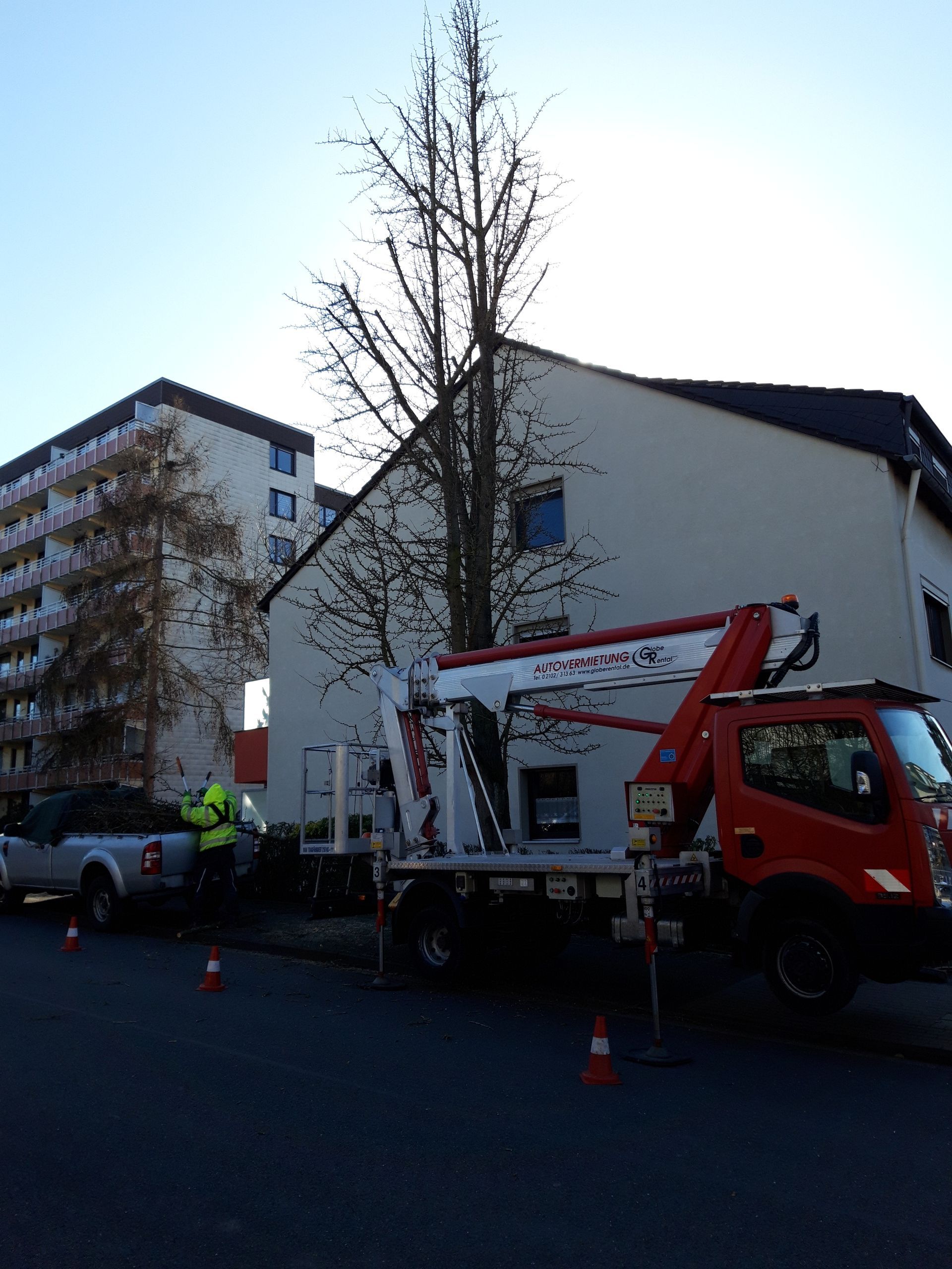Volker Hahn Garten- und Landschaftsbau, Baum vor Gebäude wird gefällt