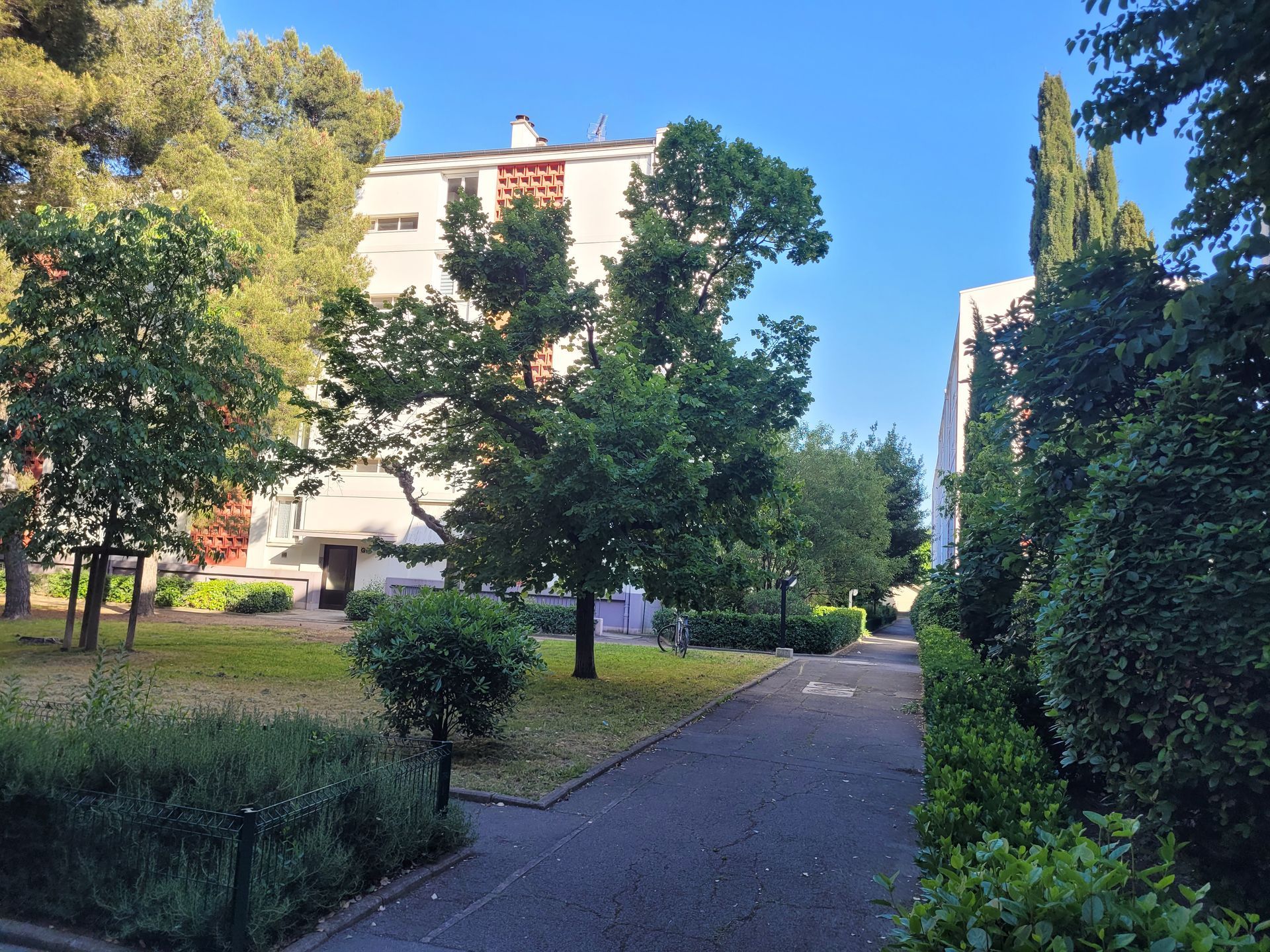 Allée arborée entre des immeubles