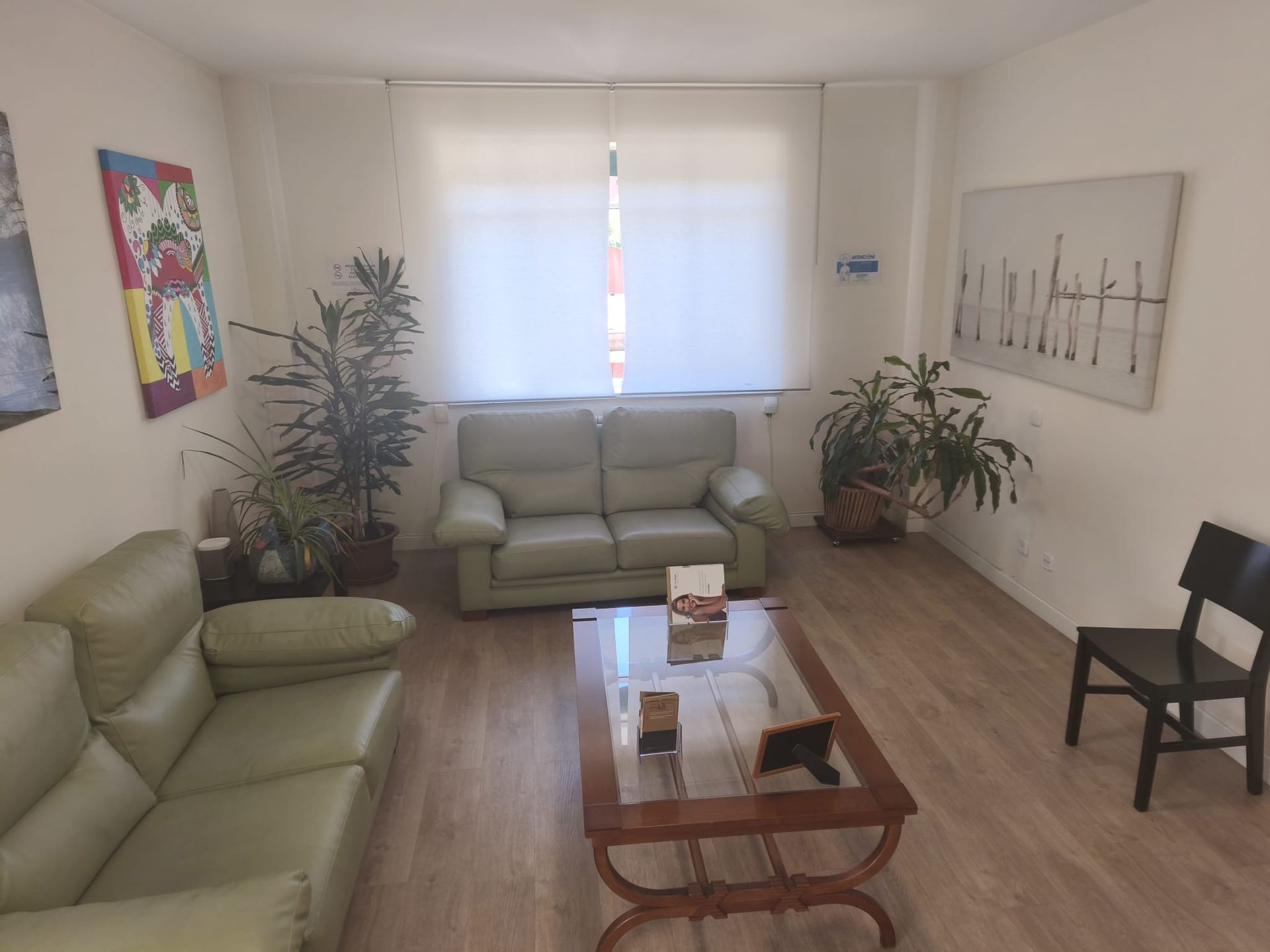 Sala de estar con sofás verdes, mesa de centro, plantas y cuadros en la pared alrededor de una ventana.