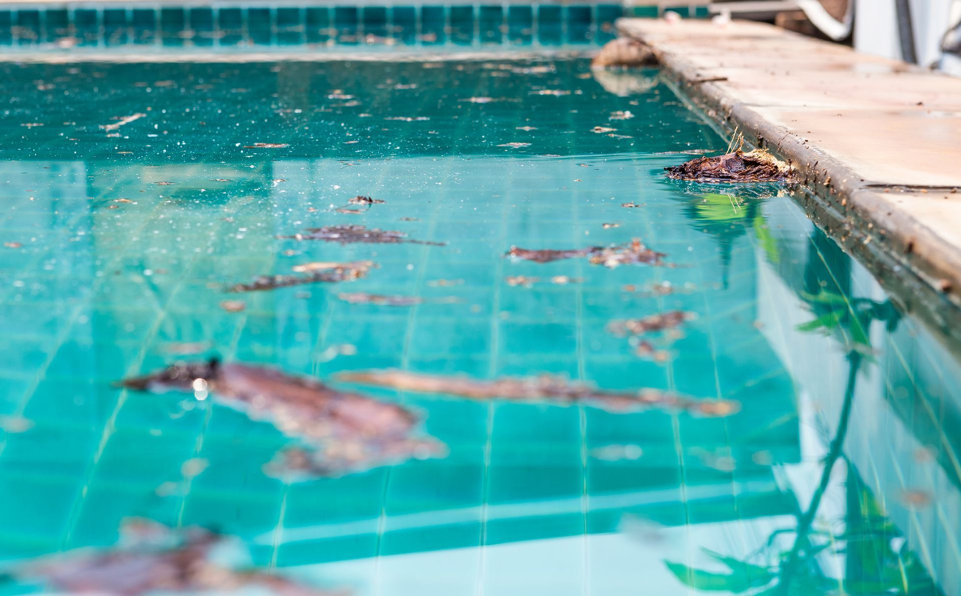 Piscine avec eau sale