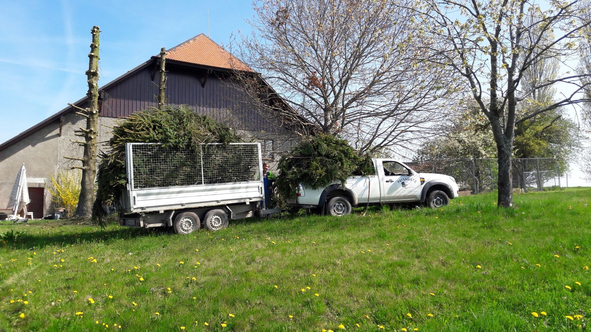 Carrard - paysagiste - Poliez-Pittet - abattage arbre