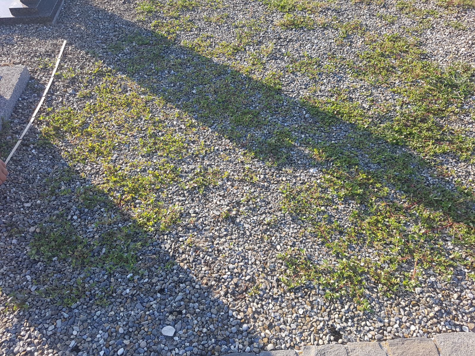 Carrard - paysagiste - Poliez-Pittet - jardin