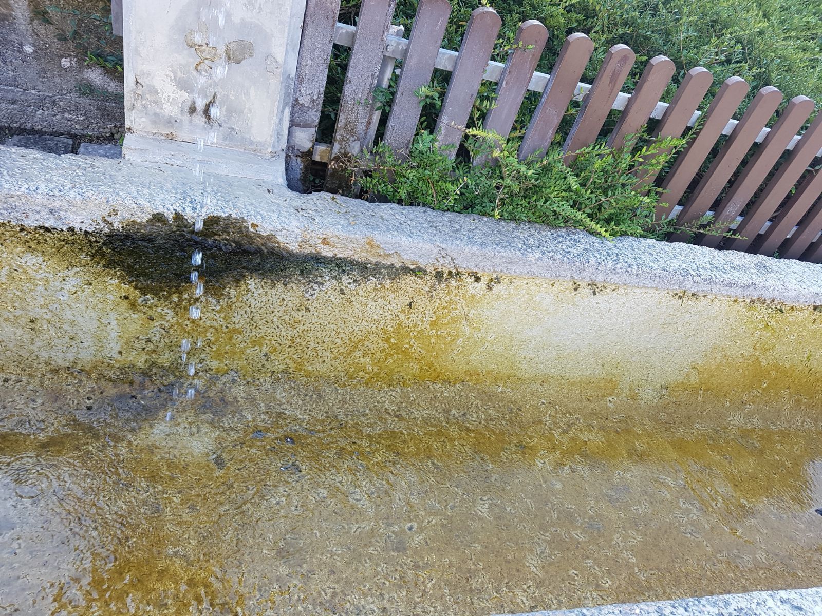 Carrard - paysagiste - Poliez-Pittet - tracteur - gazon