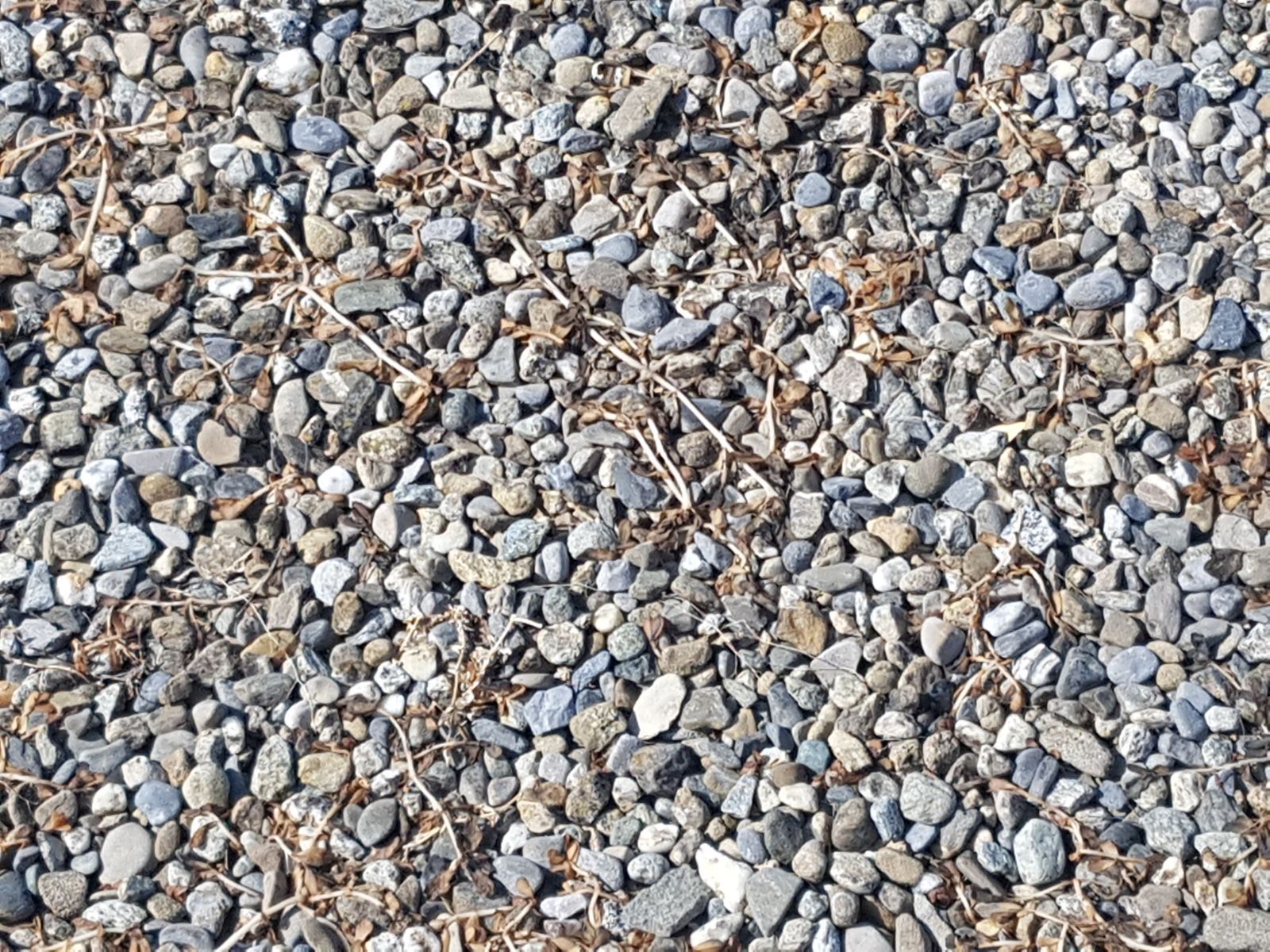 Carrard - paysagiste - Poliez-Pittet - nettoyage