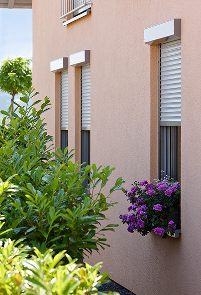 Eine pfirsichfarbene Außenwand mit drei Fenstern, die mit grauen Rollläden versehen sind, und einem Topf mit lila Blumen auf der Fensterbank.