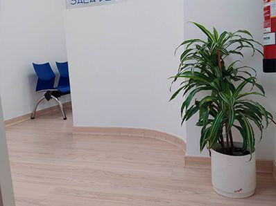 Una planta en maceta está sentada en una sala de espera al lado de una silla.