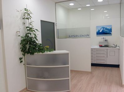 Un mostrador de recepción en un consultorio dental con una planta encima.