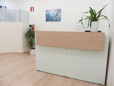 Un mostrador de recepción con una planta encima en una habitación.