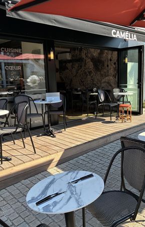 Plats coloré végétarien