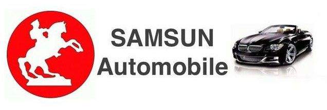 Samsun Automobile Logo