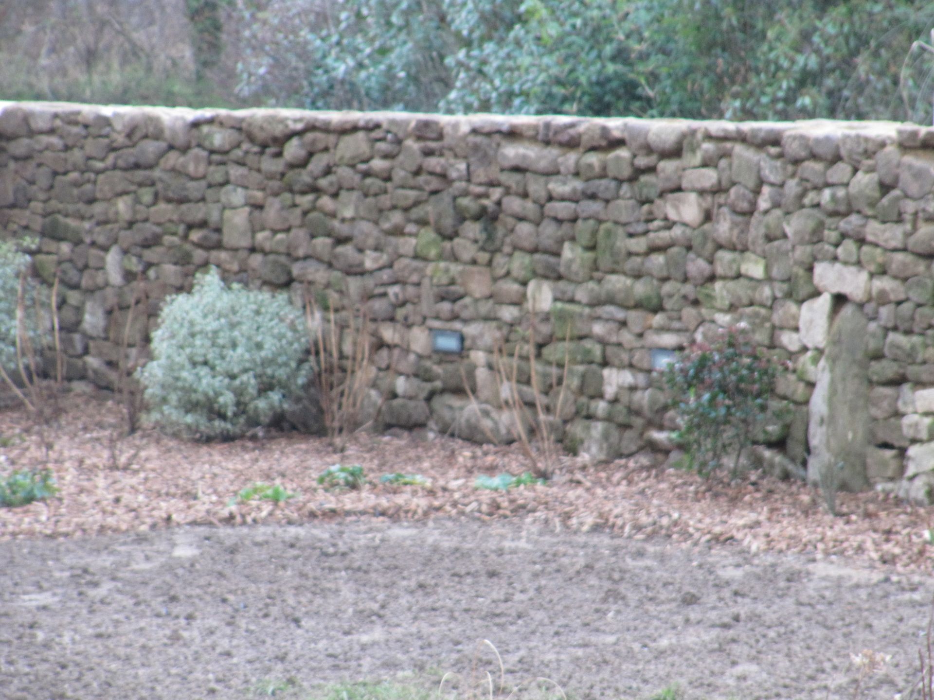 Mur en pierres et buissons