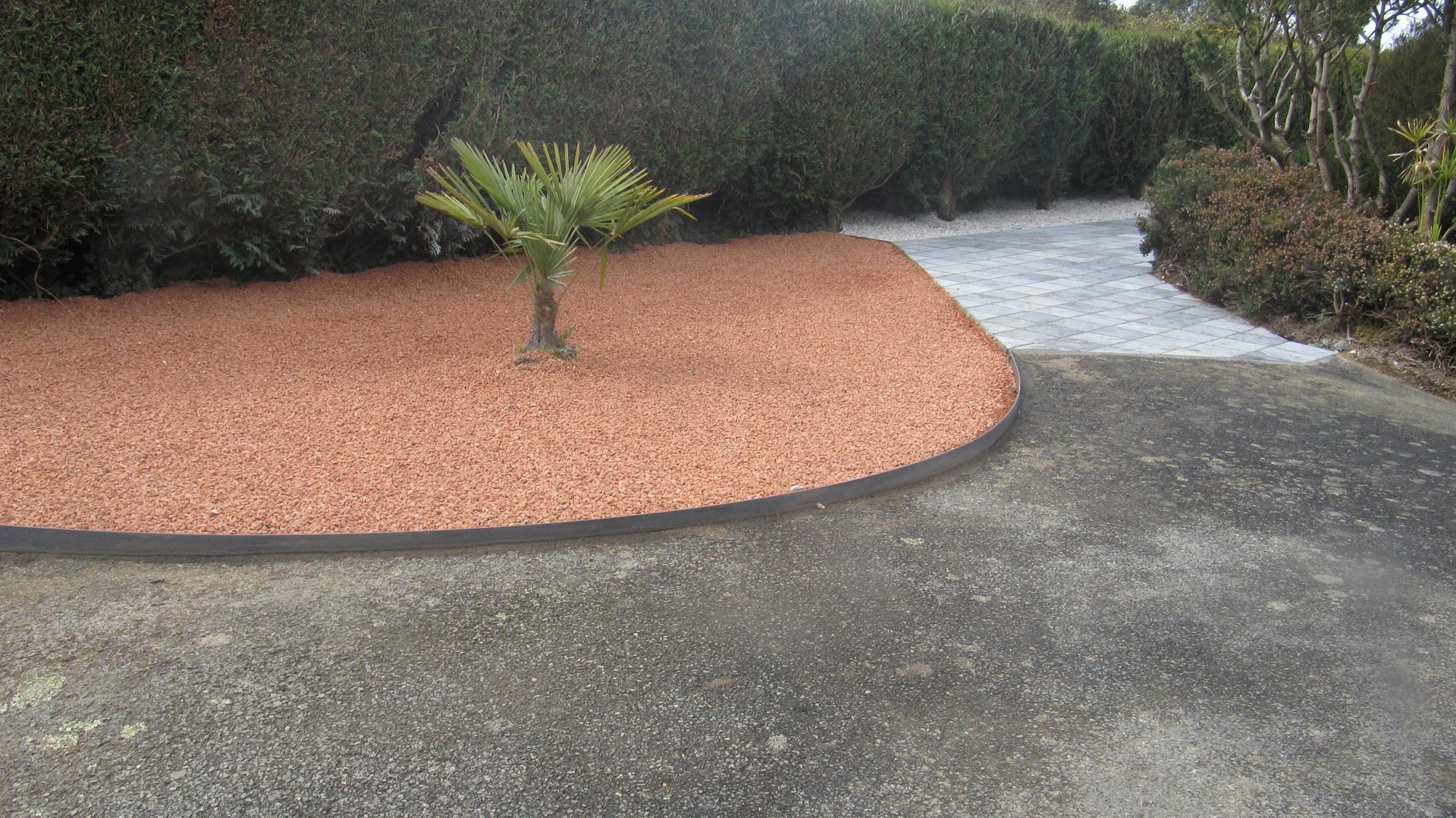 Allée en béton devant un palmier dans un demi cercle de paillage