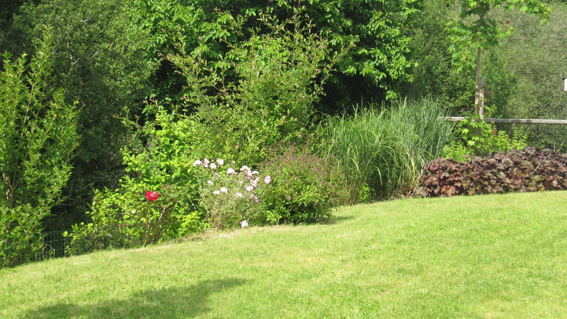 Jardin très végétalisé