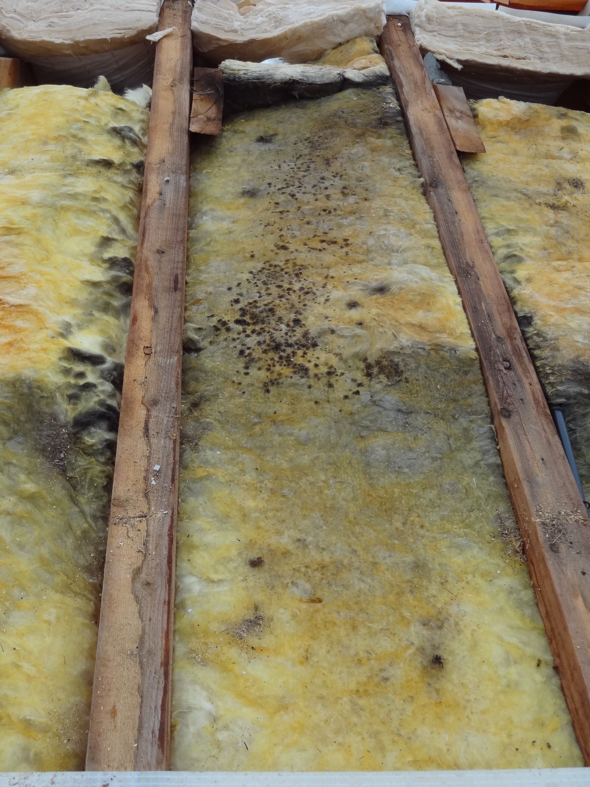 Winteler Bedachungen GmbH | Riggisberg