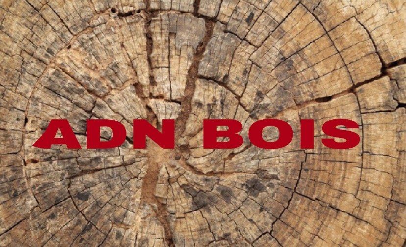 Logo ADN Bois