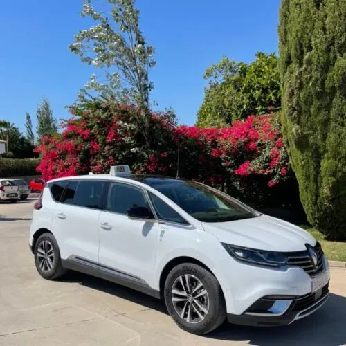 Un coche blanco está aparcado en un estacionamiento con flores al fondo.