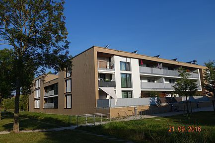 Modernes Wohnhaus mit Balkonen neben einem Baum unter blauem Himmel