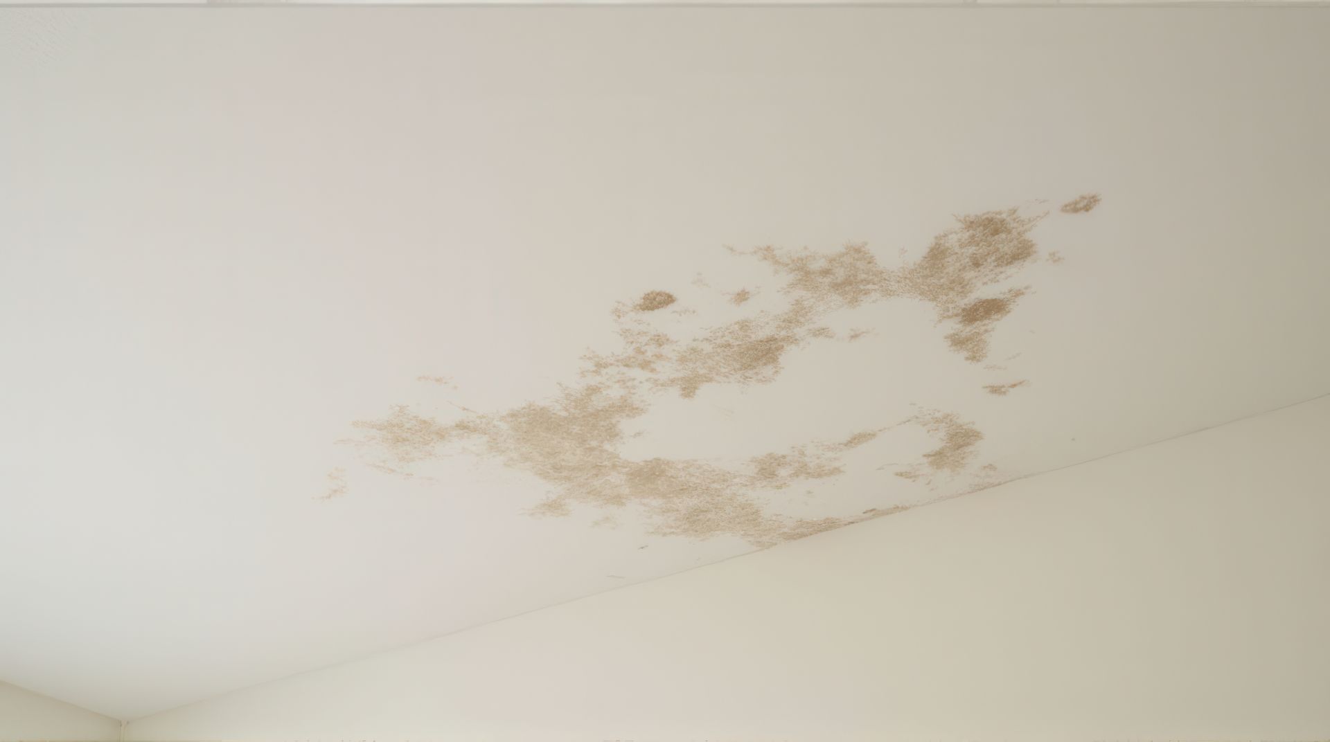 Humidité au plafond
