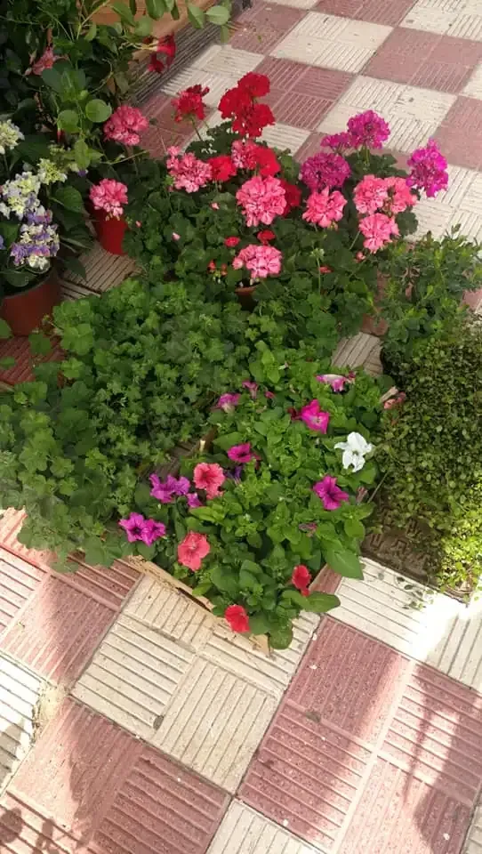 Flores de colores en macetas y una jardinera de madera se encuentran en un patio de baldosas.
