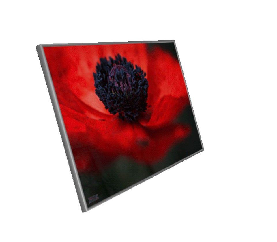 infraNOMIC-360-Frame-Line-transparent