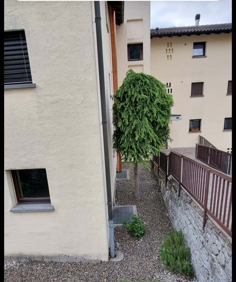 manutenzione del verde condominiale