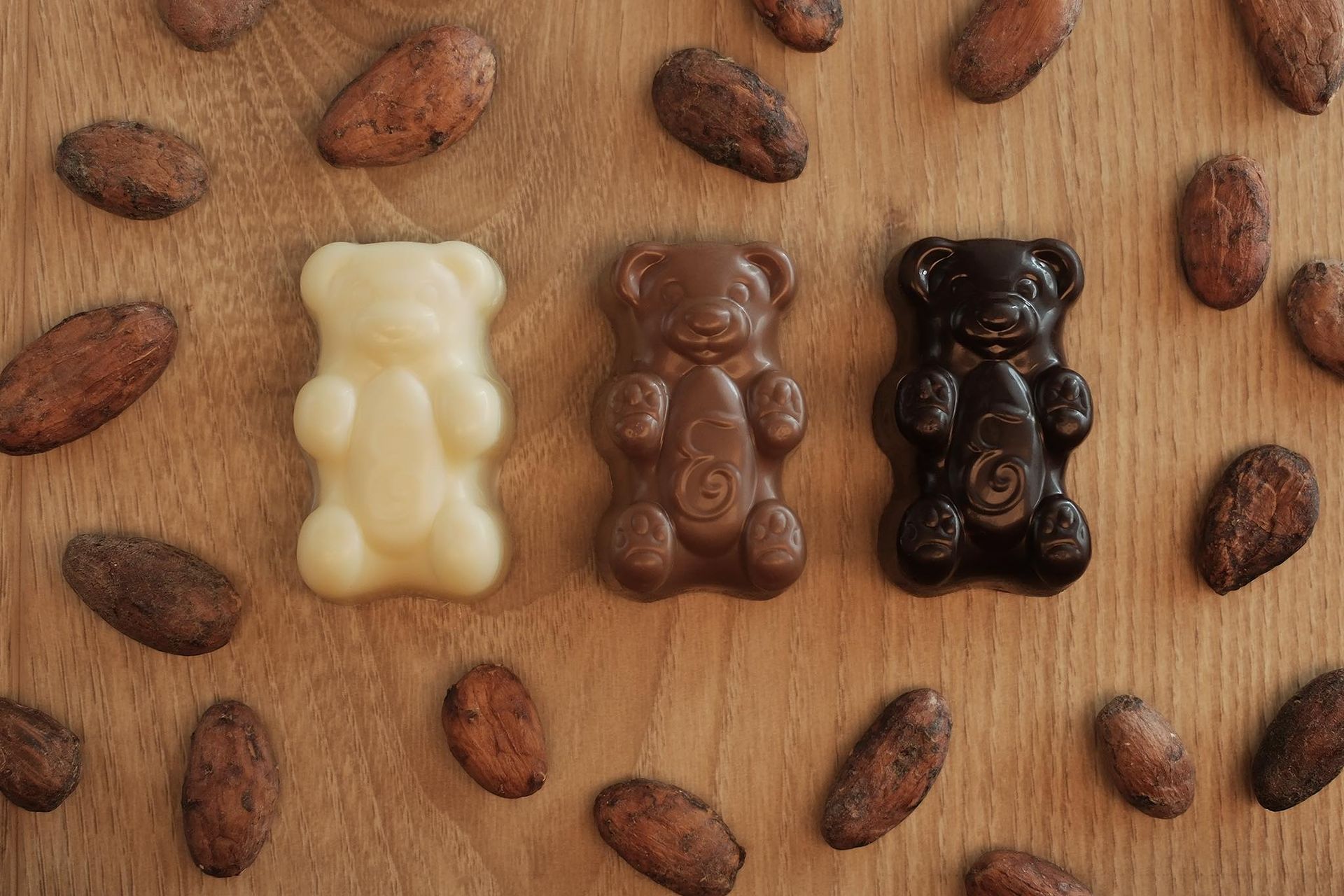 Oursons en chocolat