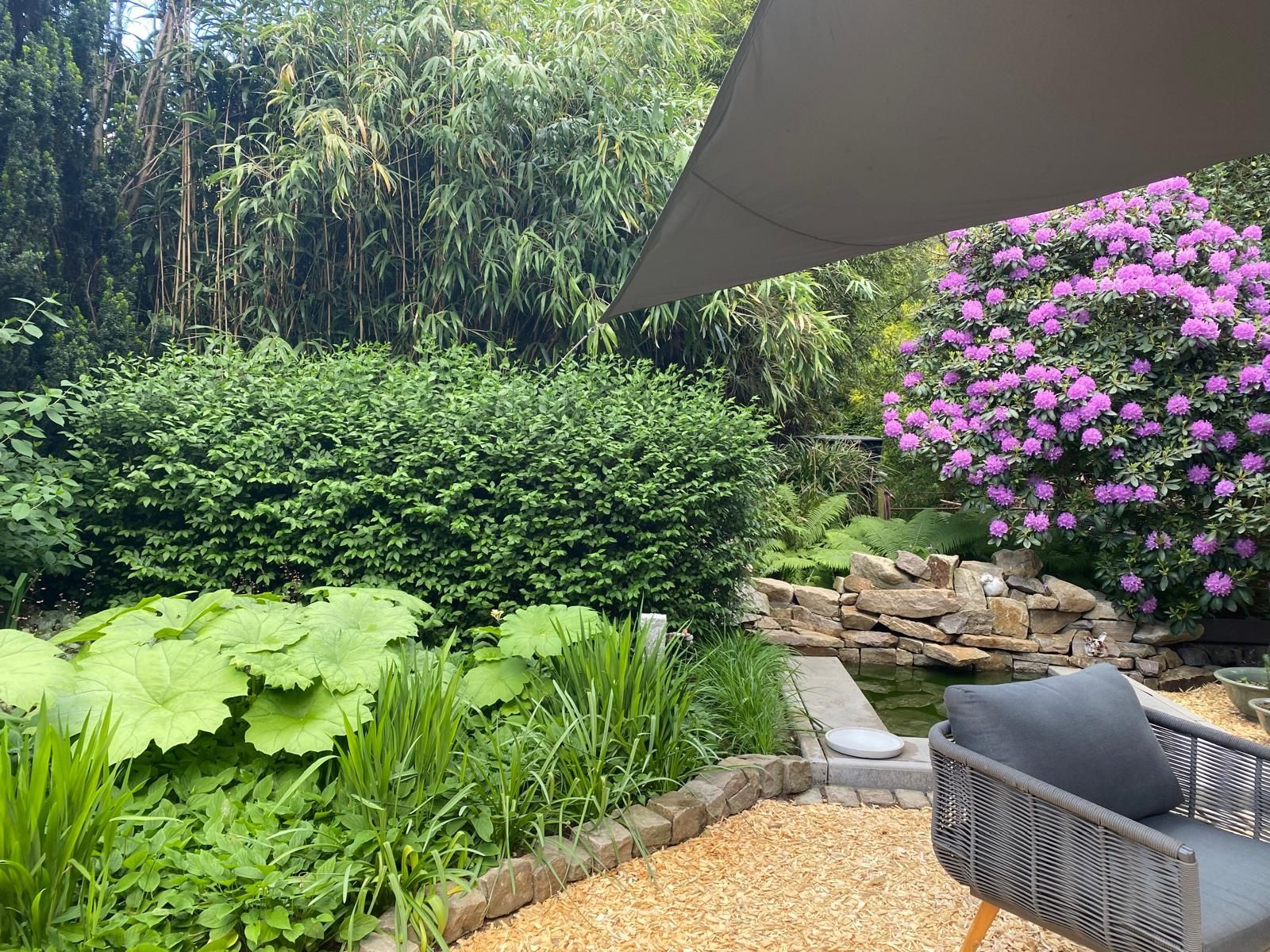 Üppiger Garten mit Teich und blühendem Rhododendron; ein grauer Stuhl steht in der Nähe einer Kiesfläche unter einem Sonnensegel.